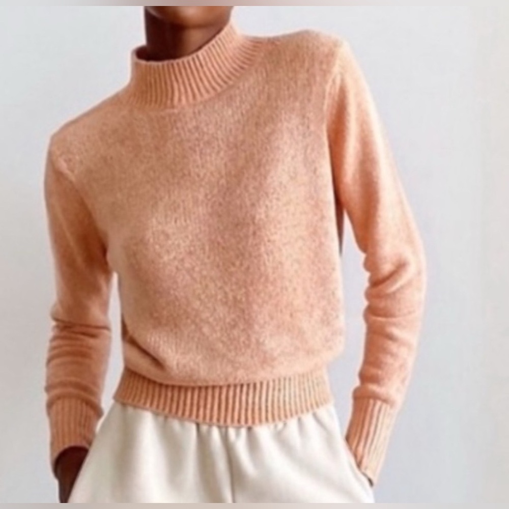 Aritzia Wilfred Free Womens Corteta Chenille Mockneck Sweater